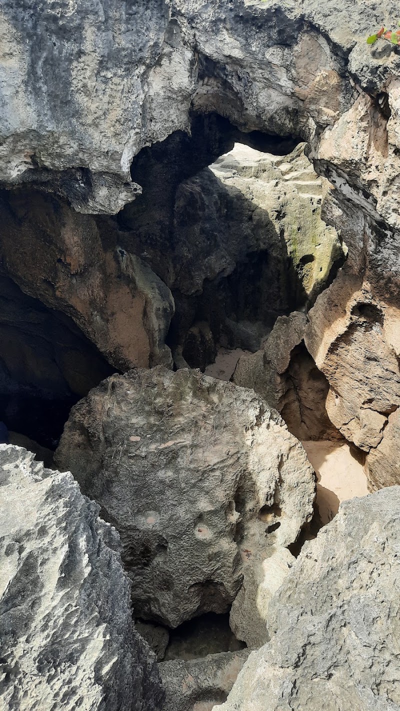 Photo 5 at Reserva Natural Cueva del Indio in Arecibo