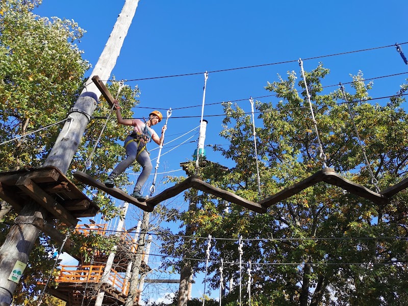Photo 1 at Adventure Park Sky Fox in Tar