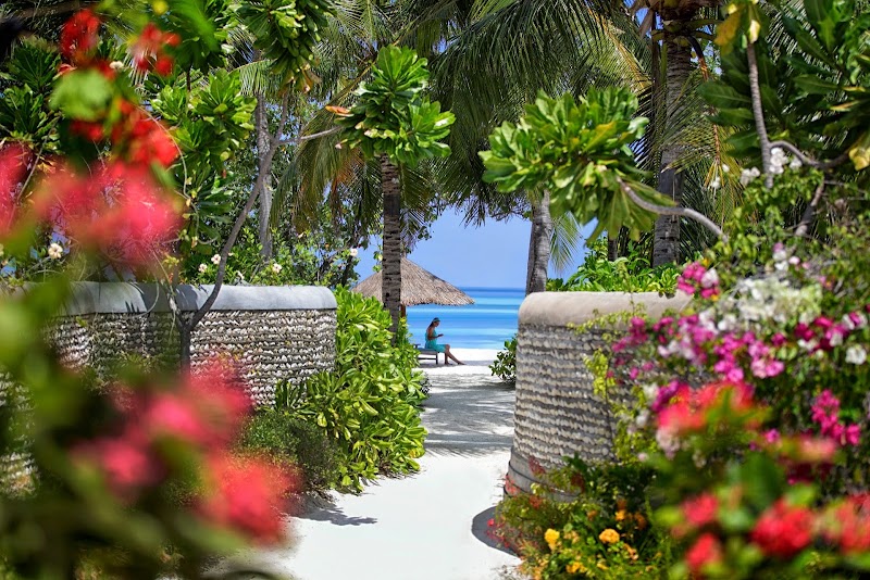 Photo 6 at Four Seasons Resort Maldives at Kuda Huraa in 