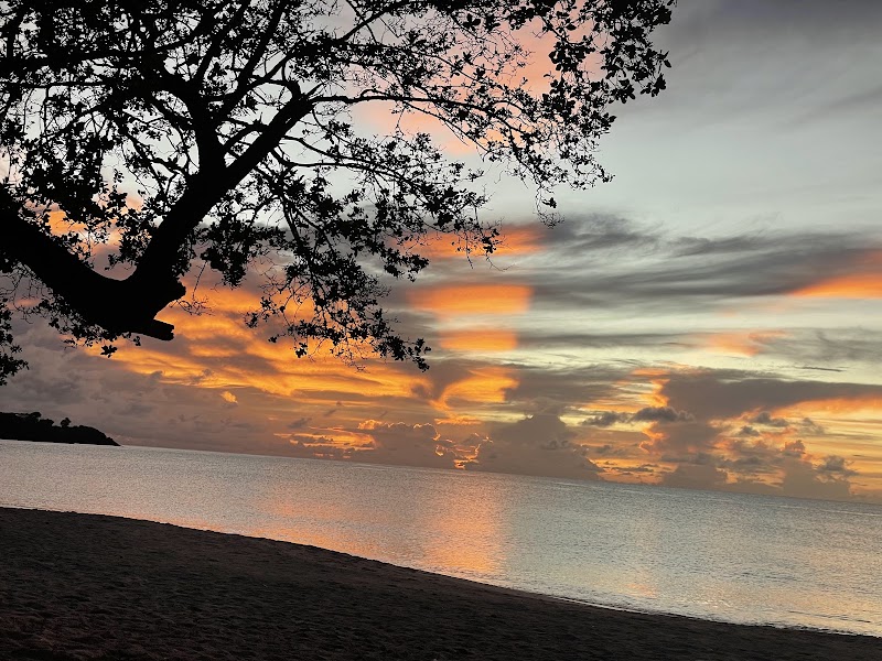 Photo 6 at Grand Anse Beach in 