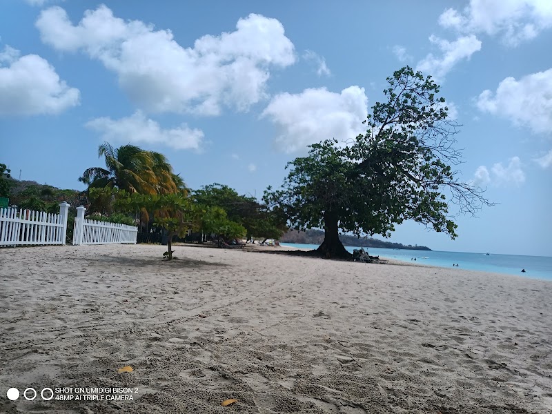 Photo 3 at Grand Anse Beach in 