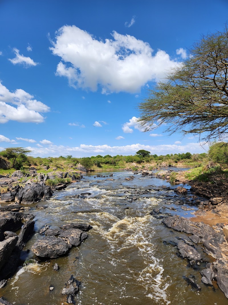 Photo 4 at Maasai Mara National Reserve in 