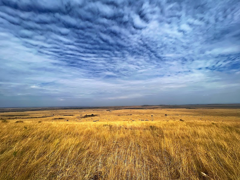 Photo 2 at Maasai Mara National Reserve in 
