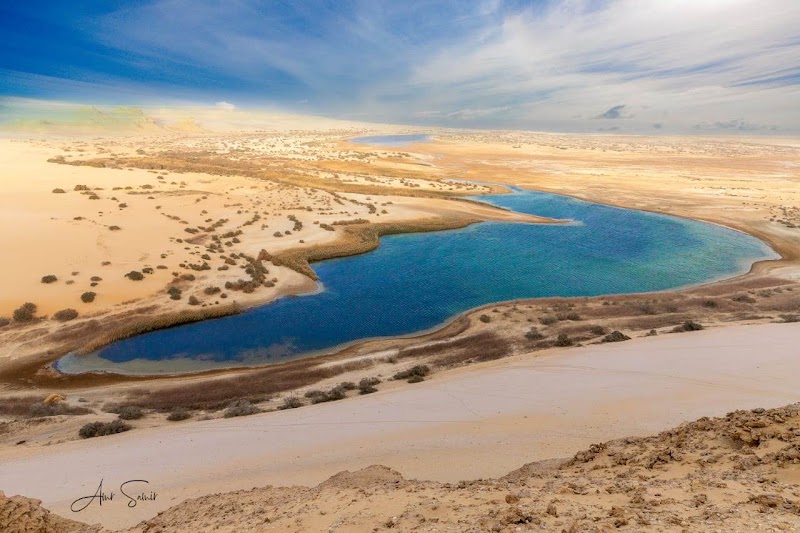 Photo 2 at Wadi Hitan National Park in 
