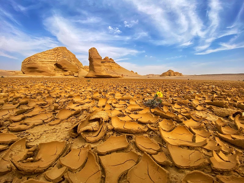 Wadi Hitan National Park in 