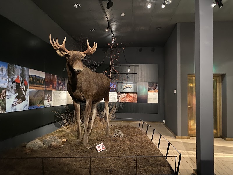 Photo 5 at Arktikum in Rovaniemi