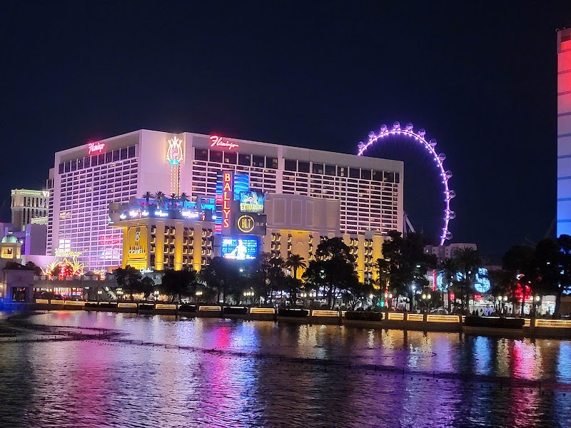 Photo 3 at Fountains of Bellagio in Las Vegas