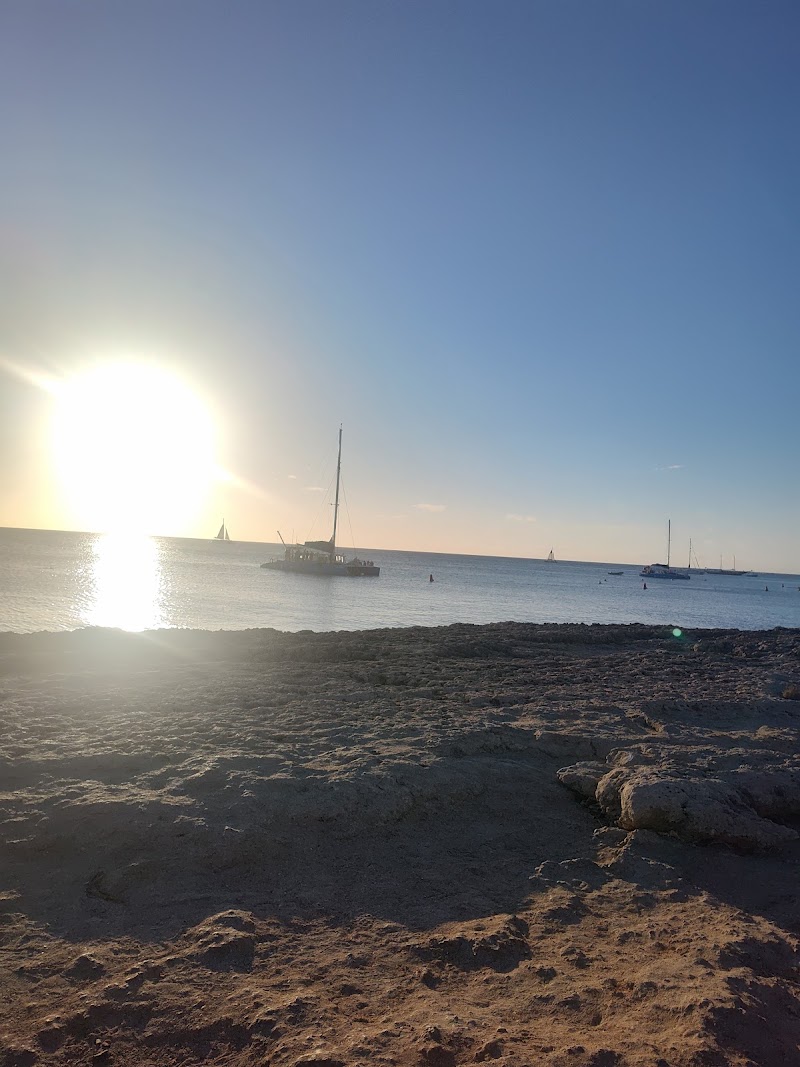 Photo 3 at Tres Trapi Beach in Noord