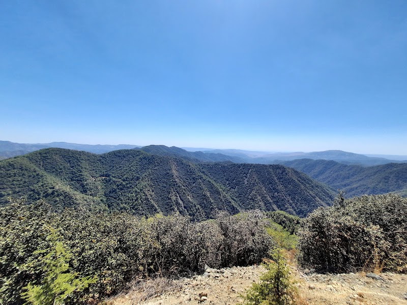 Paphos Forest in Cedar Valley
