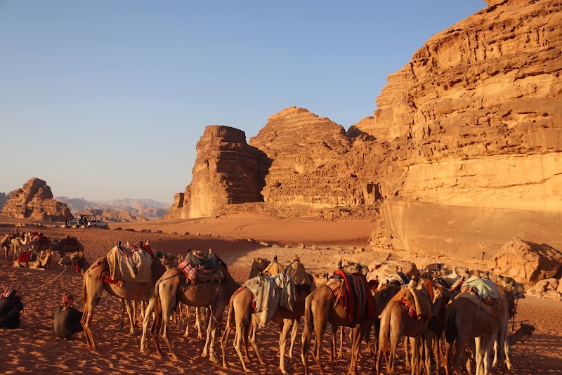 Photo 4 at Wadi Rum Protected Area in 
