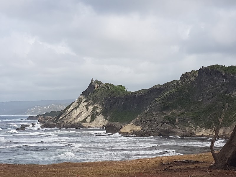 Photo 5 at Cove Bay in Blacksage Alley