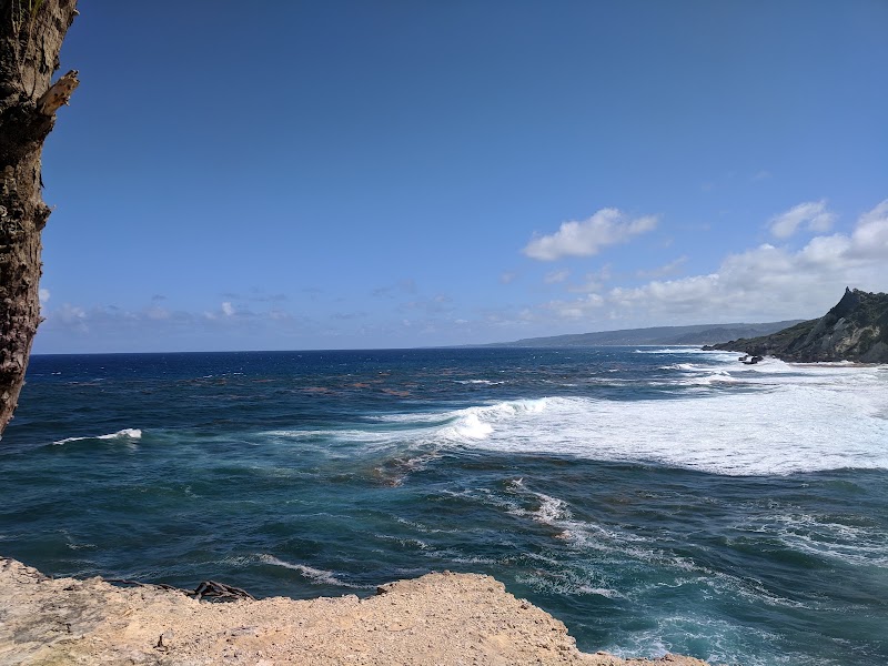Photo 1 at Cove Bay in Blacksage Alley
