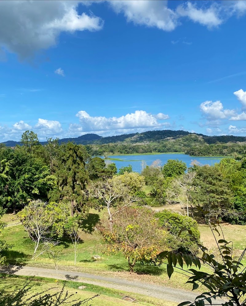 Photo 3 at Gamboa Rainforest Reserve in Gamboa