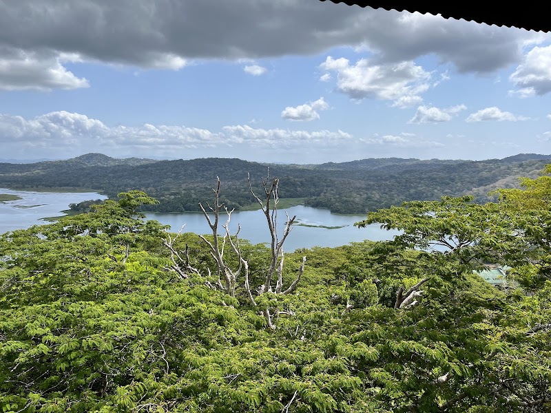 Photo 2 at Gamboa Rainforest Reserve in Gamboa
