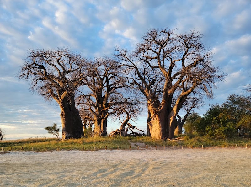 Nxai Pan National Park in 