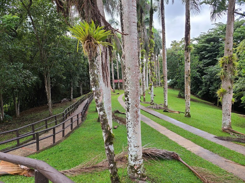 Photo 4 at Caguana Ceremonial Indigenous Heritage Center in 
