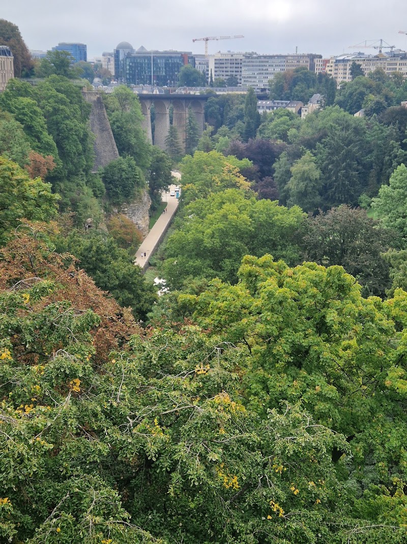 Photo 5 at Fort Thüngen in Luxembourg