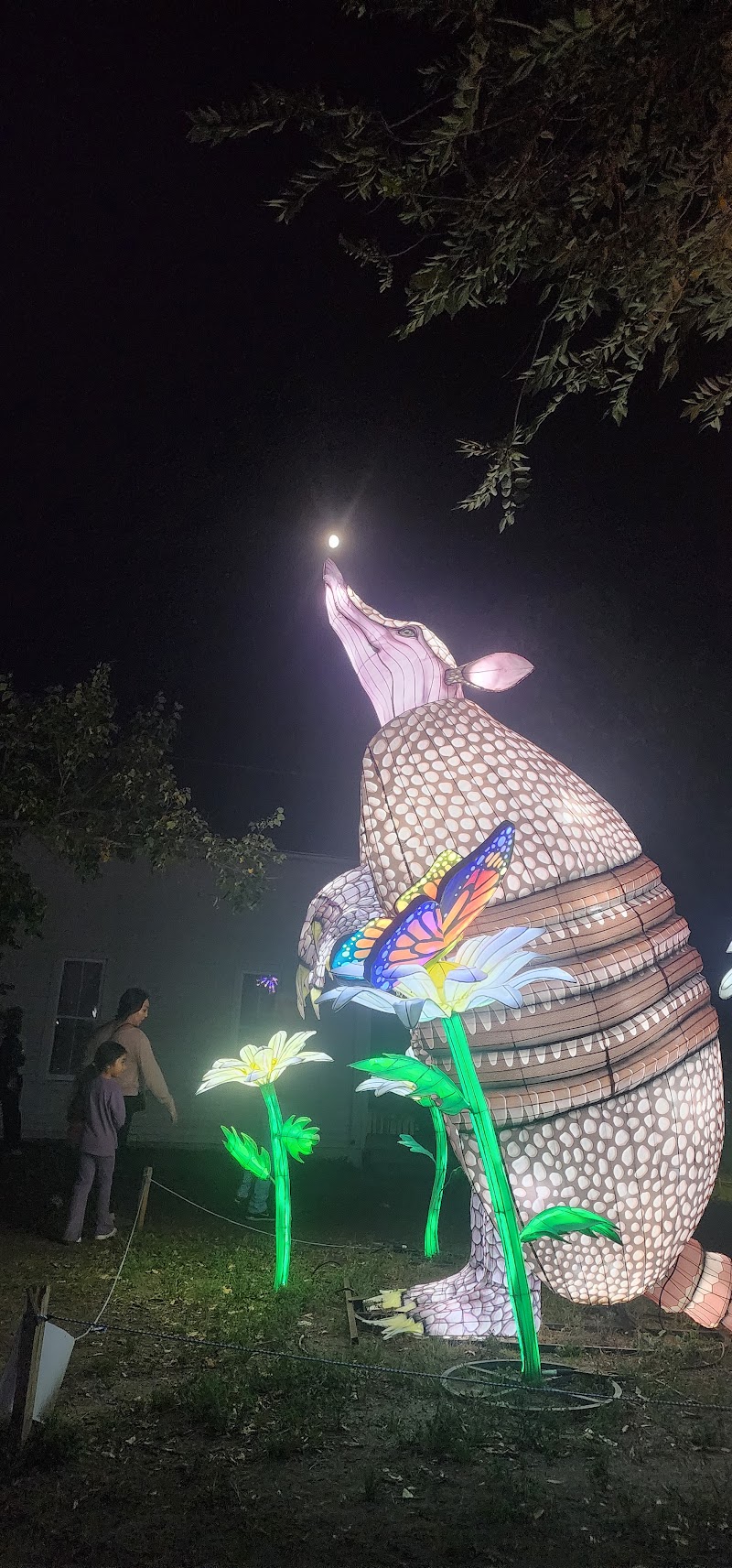 Photo 5 at Bright Nights at Four Mile Historic Park in Denver