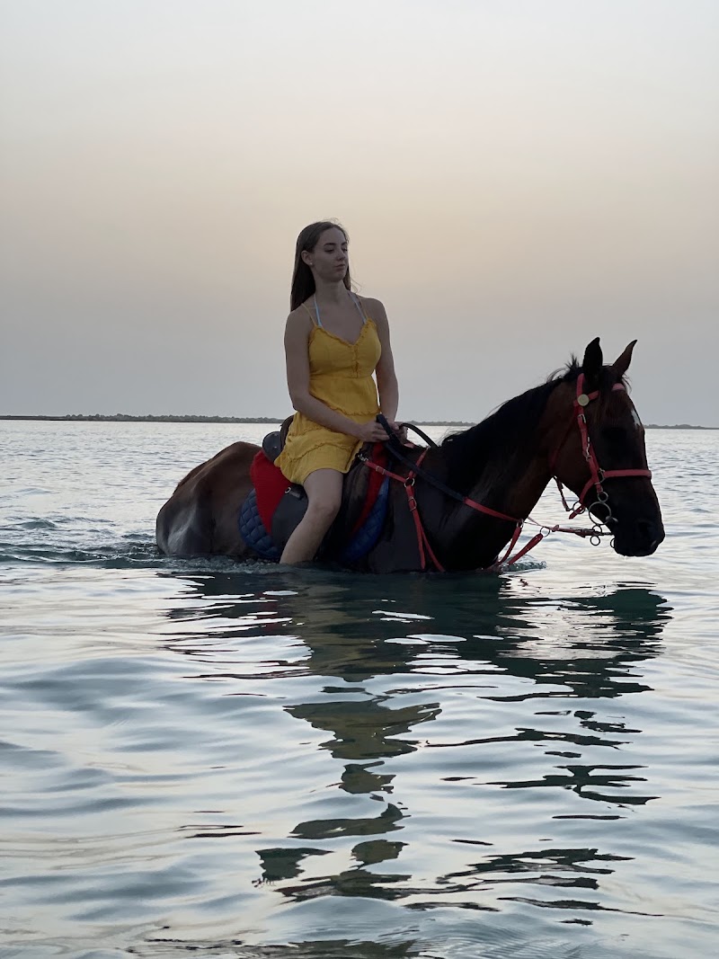 Photo 3 at Aseel Adventures in Dubai