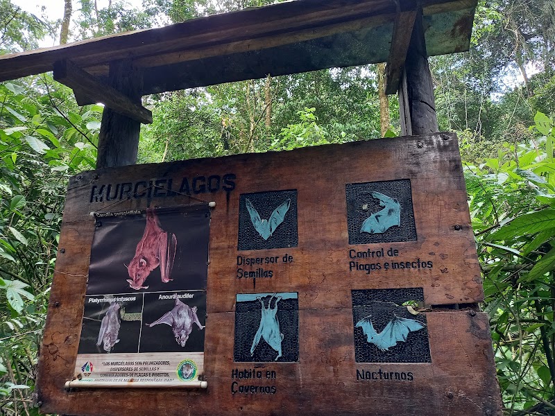 Photo 1 at Parque Nacional Carrasco in Potrero