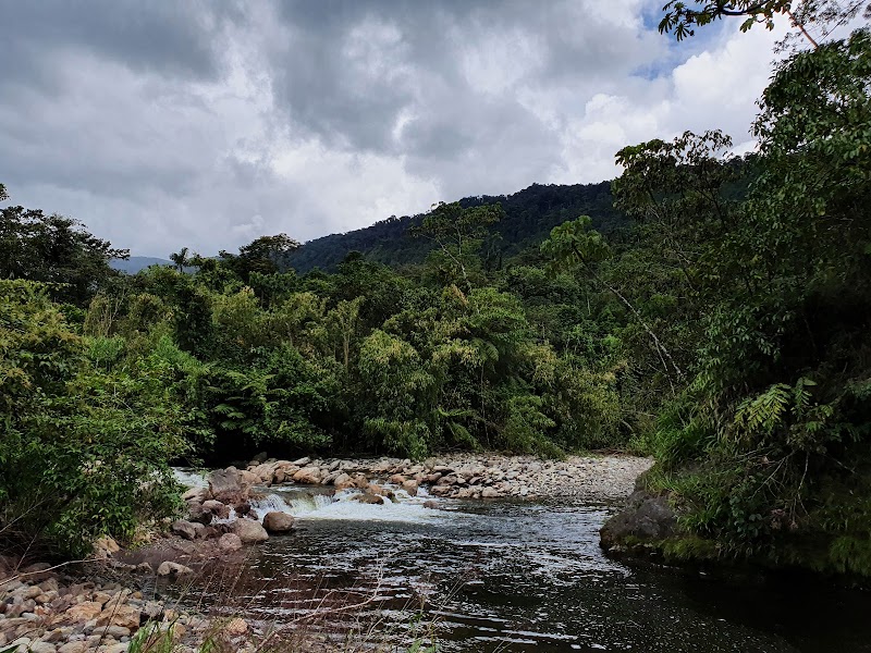 Photo 5 at Parque Nacional Carrasco in Potrero