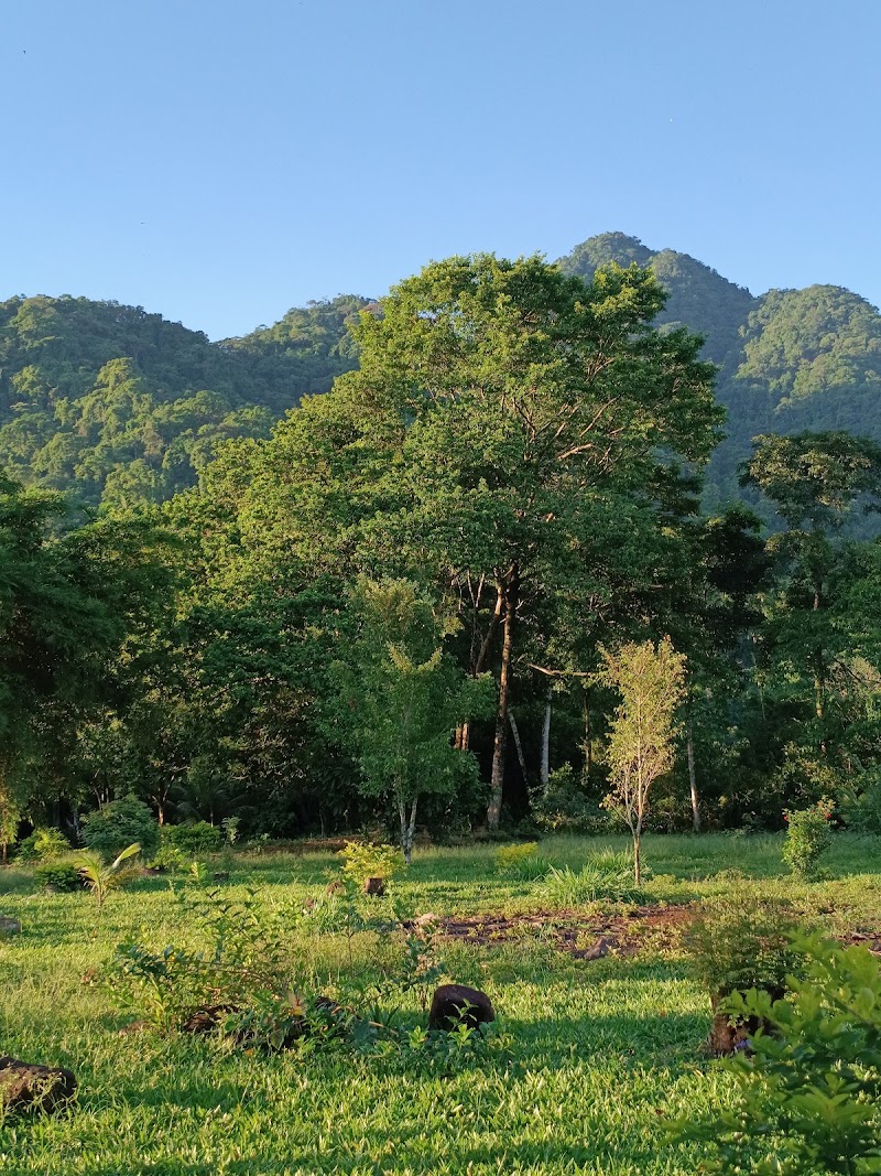 Photo 6 at Parque Nacional Carrasco in Potrero