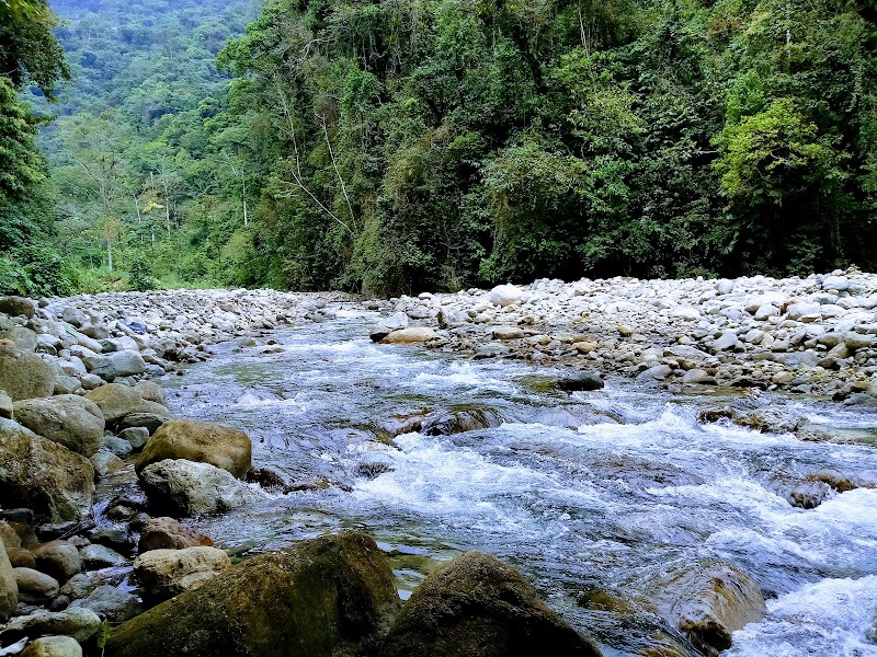 Photo 2 at Parque Nacional Carrasco in Potrero