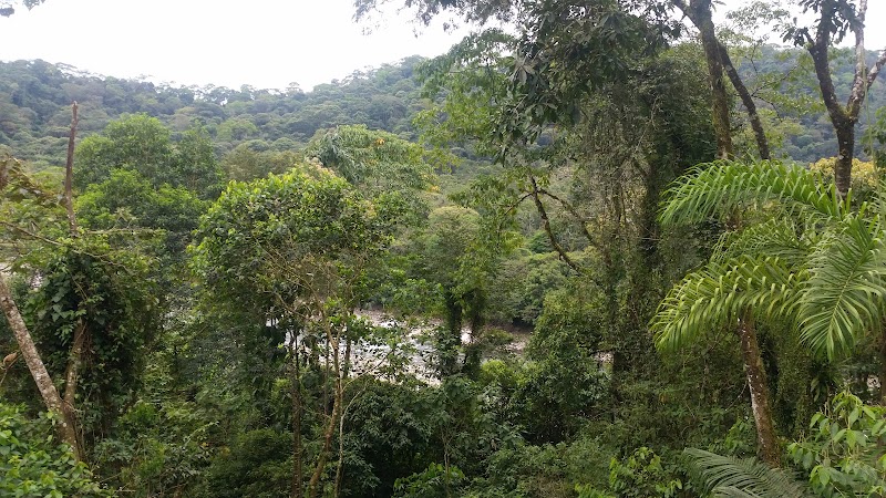 Parque Nacional Carrasco in Potrero