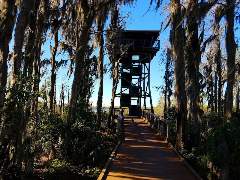 Photo 3 at Okefenokee National Wildlife Refuge in Folkston