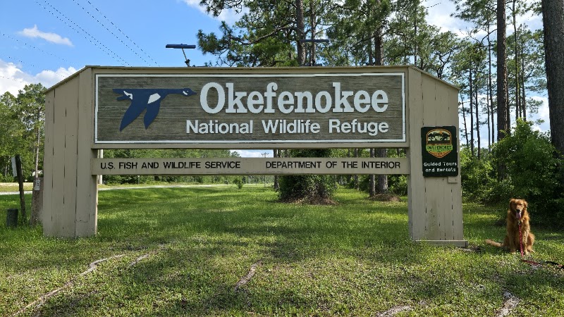 Photo 1 at Okefenokee National Wildlife Refuge in Folkston