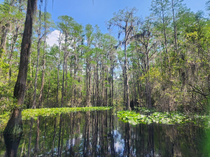 Okefenokee National Wildlife Refuge in Folkston