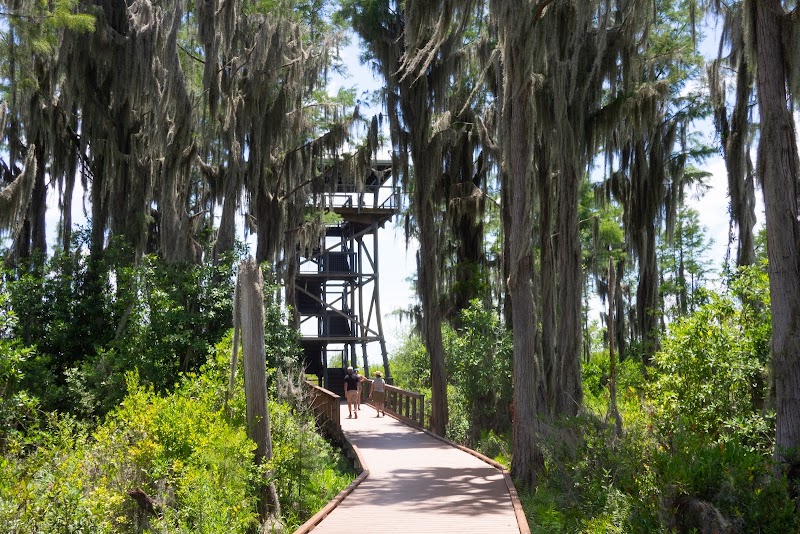 Photo 5 at Okefenokee National Wildlife Refuge in Folkston
