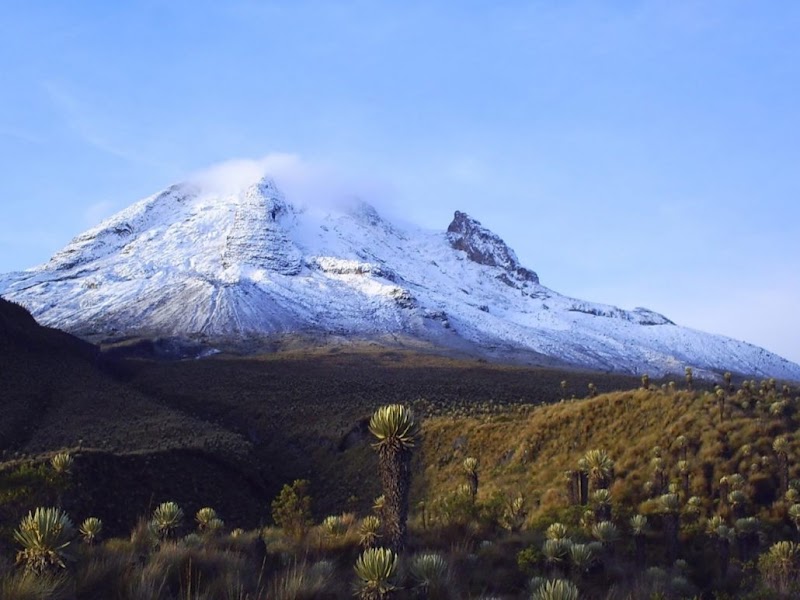 Los Nevados National Park in Murillo