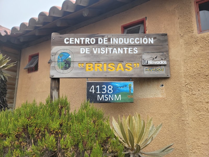 Photo 6 at Los Nevados National Park in Murillo