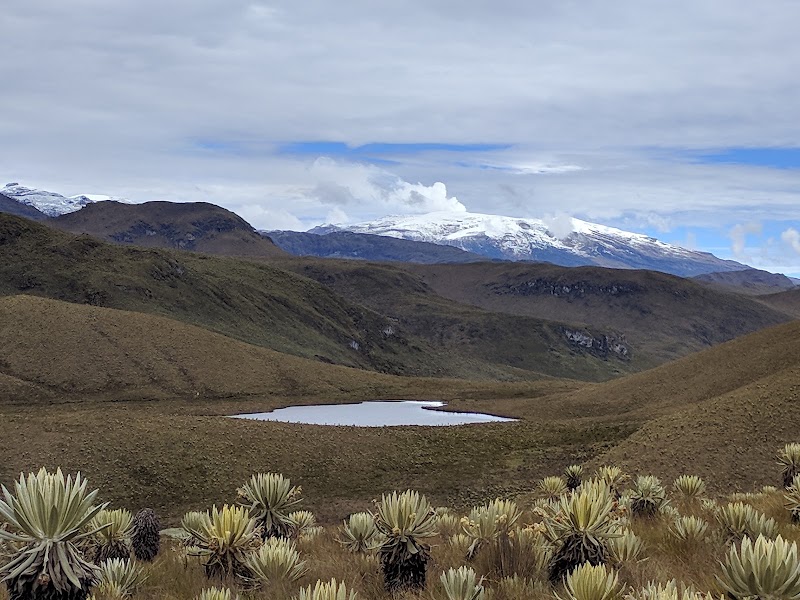 Photo 2 at Los Nevados National Park in Murillo