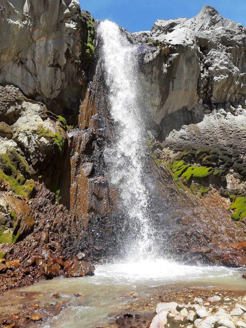 Photo 3 at Los Nevados National Park in Murillo