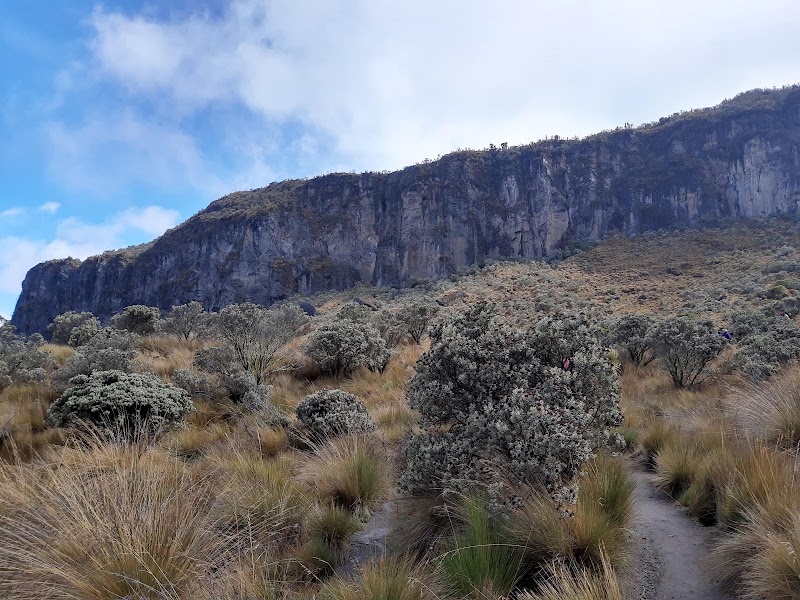 Photo 5 at Los Nevados National Park in Murillo