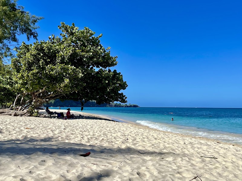 Photo 1 at Grand Anse Beach in The Lime