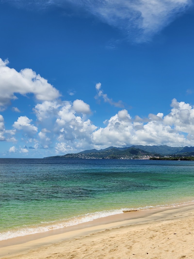 Photo 2 at Grand Anse Beach in The Lime