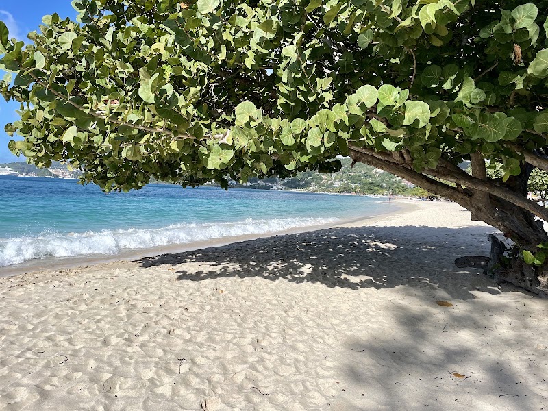 Photo 5 at Grand Anse Beach in The Lime