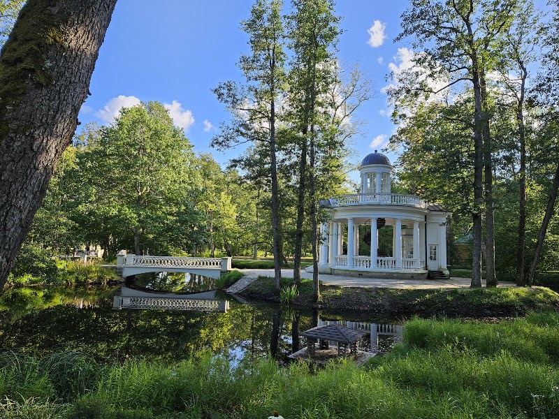 Photo 5 at Ķemeri National Park in Jūrmala