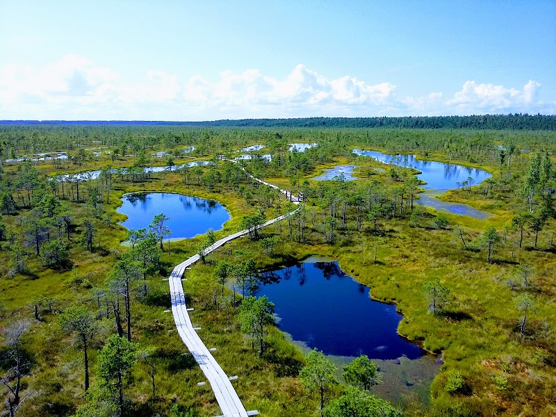 Photo 1 at Ķemeri National Park in Jūrmala