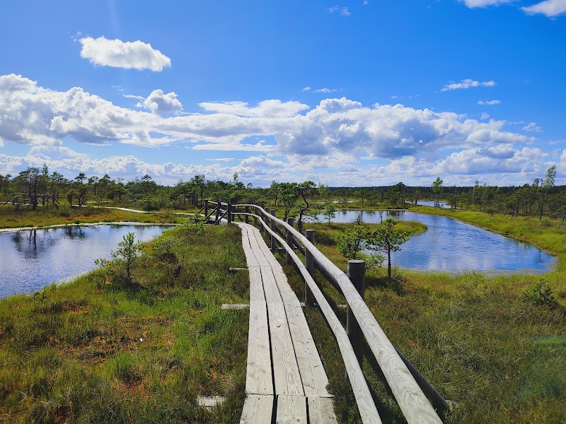 Photo 6 at Ķemeri National Park in Jūrmala