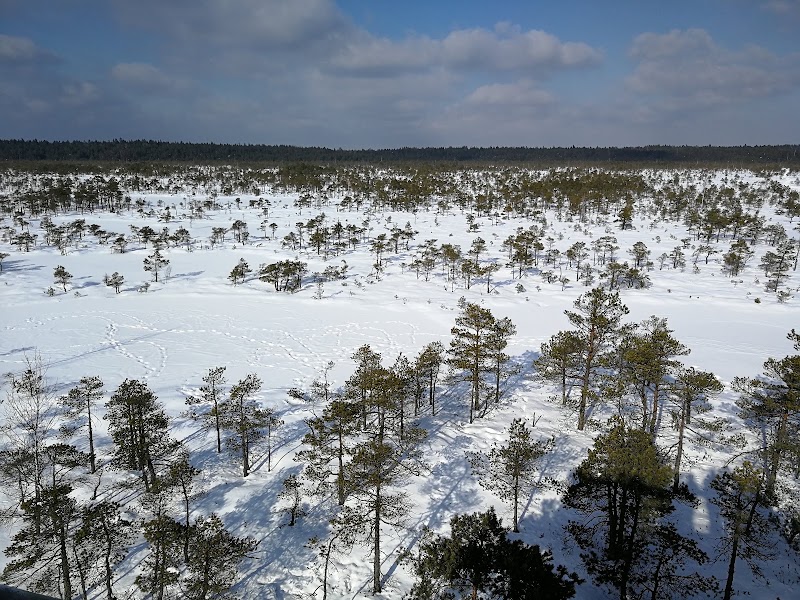 Photo 2 at Ķemeri National Park in Jūrmala