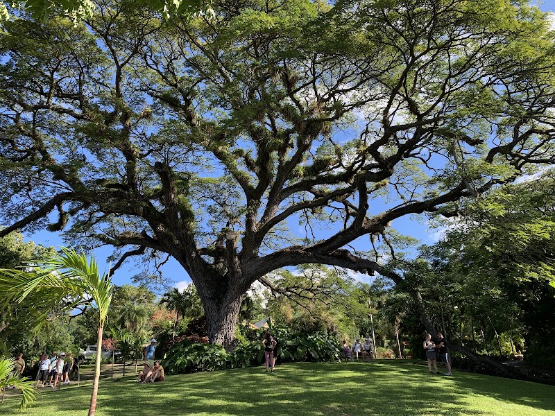 Photo 5 at Romney Manor, Home of Caribelle Batik in Old Road Town