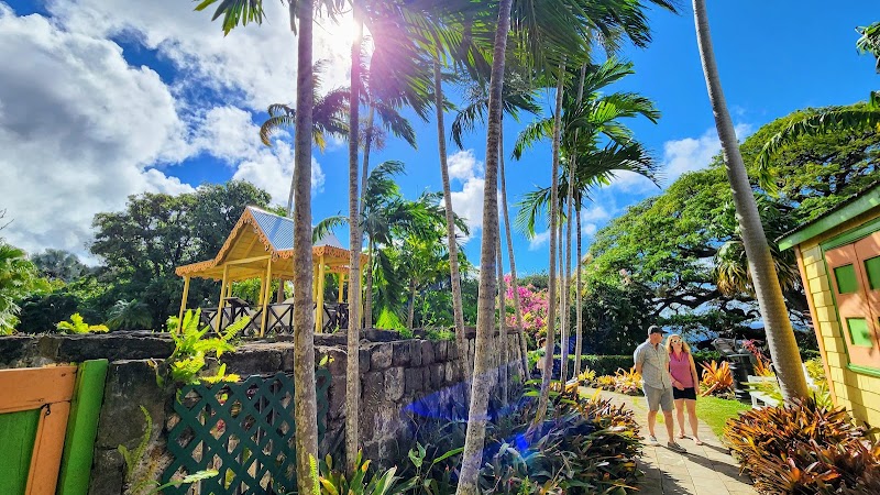 Photo 6 at Romney Manor, Home of Caribelle Batik in Old Road Town