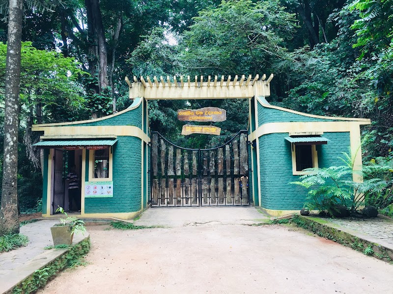Udawatta Kele Sanctuary in Kandy