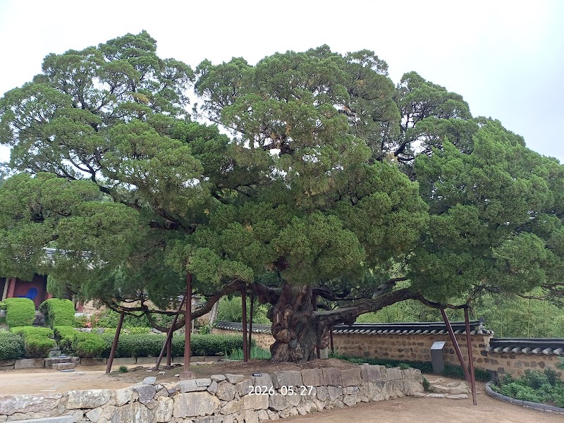 Photo 4 at Yangdong Folk Village in Gyeongju
