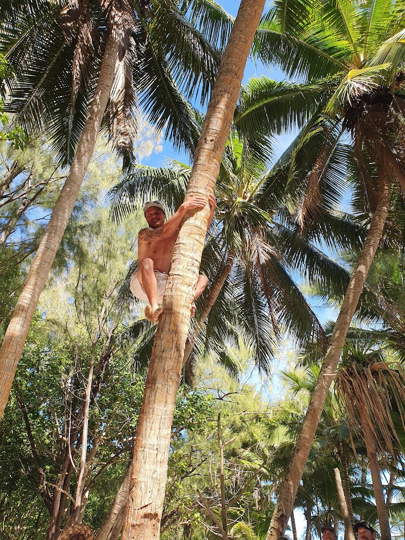 Photo 3 at Koka Lagoon Cruises in Rarotonga