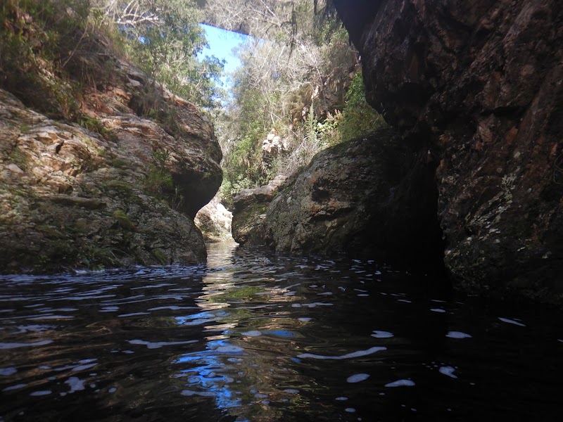Photo 4 at Africanyon River Adventures in Plettenberg Bay